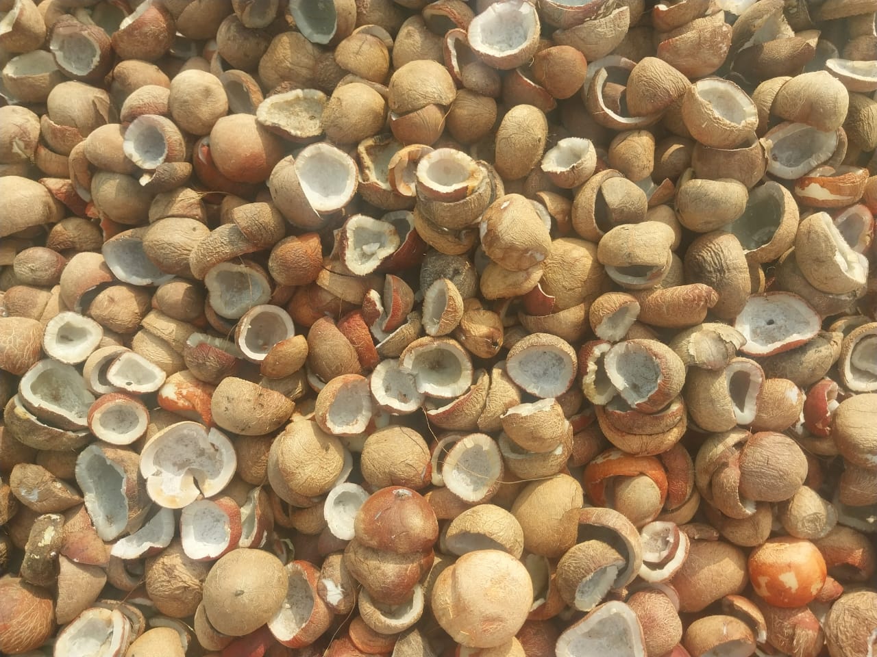 Copra wholesale supplier Thanjavur